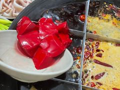 -肥龙火锅(南坪店)