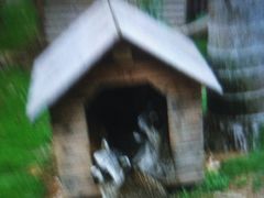 -灵玲国际马戏城