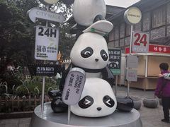 -名善山珍·野生菌汤锅(文殊院店)