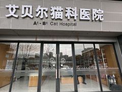 -艾贝尔宠物医院·24H转诊中心·肿瘤猫专科(江宁双龙店)