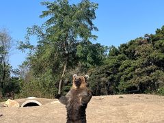 -沈阳森林动物园