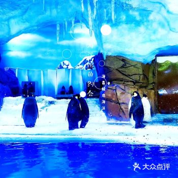 探店日记‖遨游于浪漫的海洋馆