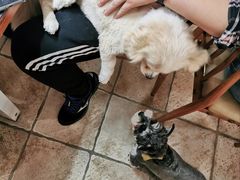 -零几体验diy皮具工作室(振业城店)