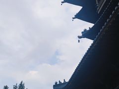 -杭州半山国家森林公园