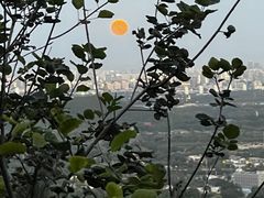 -香山公园