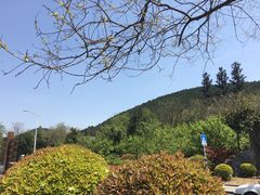 -云龙山