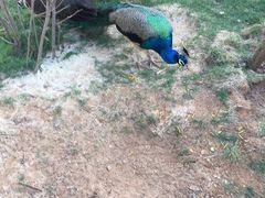 -云南艺术学院(呈贡校区)