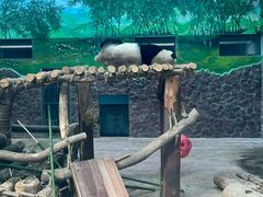-黔灵山公园