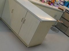-宠颐生宠物医院·犬猫全科·皮肤科(商业街店)
