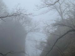 -牛背梁国家森林公园