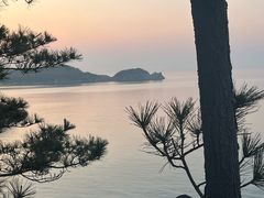 -五谷丰登·胶东海鲜·家常菜(张村店)