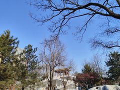 -西海子公园