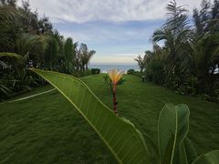 -三亚太阳湾柏悦酒店