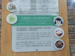 -成都大熊猫繁育研究基地-熊猫厨房