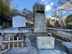 -天龙寺