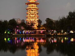 -洋湖国家湿地公园