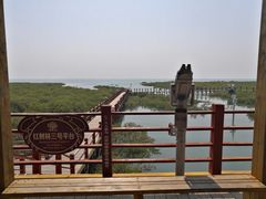 -北海金海湾红树林生态旅游区