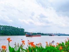 -广州国际生物岛