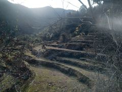 -梁野山景区