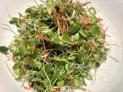 香椿苗巧拌鲍鱼菇丝-百富源·海鲜辽菜(和平北大街店)