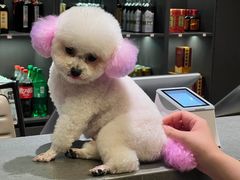 -阿露佳·舌尖上的安吉菜