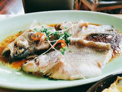 清蒸脂鱼-新白鹿餐厅(城西银泰城店)