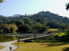 -国恩寺