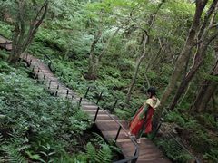 -济州森林小火车生态公园