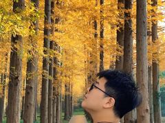 -黄海国家森林公园