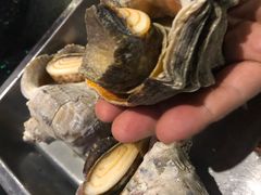 -胶东海鲜大排档(北太平庄店)