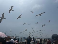 -星海广场