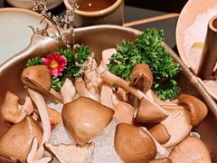 -季季山·云南野生菌火锅(上海首店)