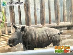 -济南野生动物世界