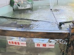 -楚鱼王·河鲜·湖北菜(华农店)