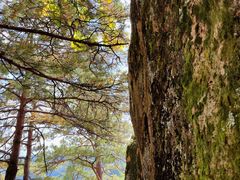 -五女峰国家森林公园