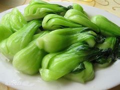 -南汇水蜜桃采摘(大团店)