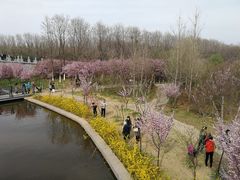 -洛阳市隋唐城遗址植物园