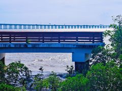 -宝安西湾红树林湿地公园