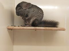 -龙猫仔乐园(惠福东路店)