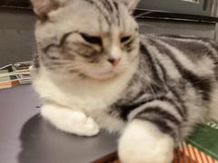 -咖法森林·咖啡  酒吧(天河店)