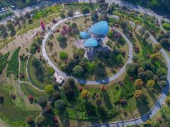 -铁山坪森林公园