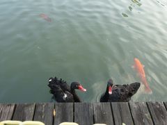 -东部华侨城