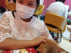 -猫色咖啡·猫咖