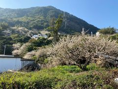 -广州市流溪河国家森林公园