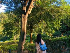 -南沙蒲洲花园