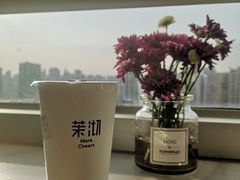 桂花乌龙芝士玛奇朵-茉沏(光启城店)