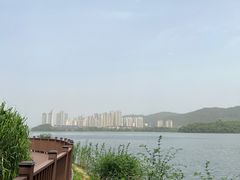 -梅溪湖公园