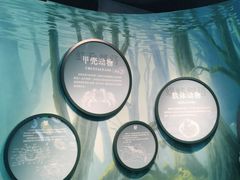 -中国湿地博物馆