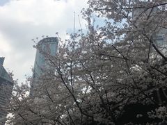 -东方明珠·可口可乐欢乐餐厅