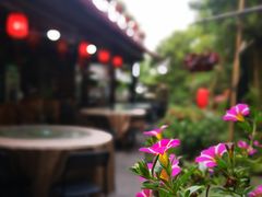 -国生茶庄·地道农家菜团建活动